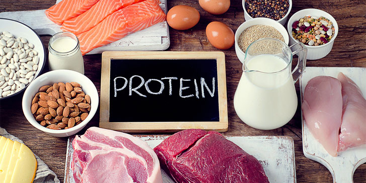 С какими продуктами лучше усваивается белок в организме thumbnail